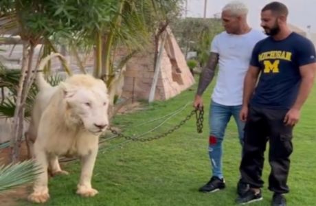 Πρωταθλητής του UFC κάνει βόλτες με λιοντάρι στο Ντουμπάι