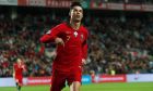 Ο Κριστιάνο Ρονάλντο της Πορτογαλίας πανηγυρίζει γκολ που σημείωσε κόντρα στη Λιθουανία για τα προκριματικά του Euro 2020 στο 'Αλγκάρβε', Φάρο | Πέμπτη 14 Νοεμβρίου 2019