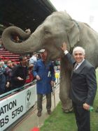 PAP 22: LONDON: 13.05.95: Wimbledon owner Sam Hammam parades an elephant around the pitch  before the start of his team's match against Nottingham Forest today (Saturday) at Selhurst Park.  Photo by David Giles/PA. gm.