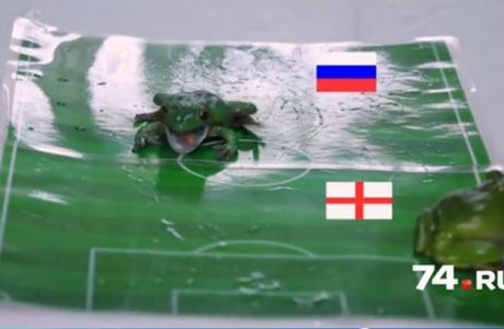 Τα... βατράχια προβλέπουν τον νικητή στο Αγγλία - Ρωσία