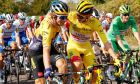Πρίμος Ρόγκλιτς και Ταντέι Πογκάτσαρ στο τελευταίο ετάπ του περσινού Γύρου Γαλλίας (20/9/2020). Οι δυο Σλοβένοι κέρδισαν τα δυο από τα τρία Grand Tours του 2020, ο μεν Ρόγκλιτς τη Vuelta, ο δε Πογκάτσαρ το Tour. 