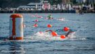 Κολύμβηση open water by Vikos στον όρμο του Ναυαρίνο