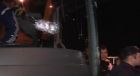 ΣΟΚ! Ένοπλη επίθεση στο πούλμαν της Φενέρμπαχτσε (PHOTOS+VIDEO)