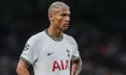 2JY0FTE Richarlison #9 of Tottenham Hotspur during the gameduring the UEFA Champions League match Tottenham Hotspur vs Marseille at Tottenham Hotspur Stadium, London, United Kingdom, 7th September 2022

(Photo by Arron Gent/News Images)