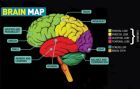O χάρτης του μυαλού -ποιο μέρος αντιλαμβάνεται τι 