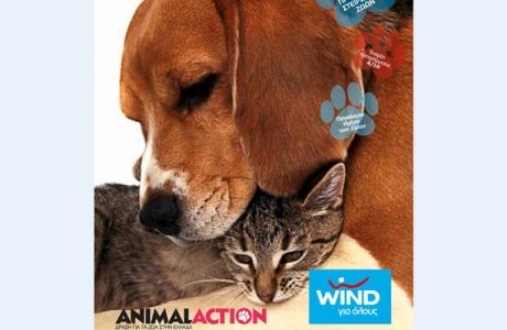 Η WIND φροντίζει "Στην Πράξη" για τα αδέσποτα σε συνεργασία με την Animal Action 