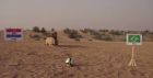 Ο Σαχίν η καμήλα, ο νέος "προφήτης" του Μουντιάλ (VIDEO)