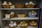 In this Thursday, Feb. 28, 2019 photo, different models of Basque balls are displayed for sale at a store in Pamplona, northern Spain. With their hands protected by layers of tightly-bound tape, the players take turns swatting a small, hard ball at speeds that reach 115 kilometers (71.4 miles) per hour. (AP Photo/Alvaro Barrientos)