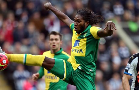 Norwich City's Dieumerci Mbokani, left, scores his goal past Newcastle United's captain Fabricio Coloccini, right,  during their English Premier League soccer match between Newcastle United and  Norwich City at St James' Park, Newcastle, England, Sunday, Oct. 18, 2015. (AP Photo/Scott Heppell)