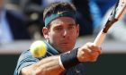 Argentina's Juan Martin del Potro plays a shot against Chile's Nicolas Jarry during their first round match of the French Open tennis tournament at the Roland Garros stadium in Paris, Tuesday, May 28, 2019. (AP Photo/Pavel Golovkin)