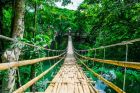 Bamboo pedestrian suspension bridge over river in tropical forest, Bohol, Philippines