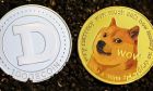 Τάσεις και προβλέψεις τιμών Dogecoin – Ένα νέο Doge έρχεται στο προσκήνιο