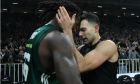 Προγνωστικά EuroLeague: Ο Παναθηναϊκός AKTOR δείχνει με το καλημέρα ποιος είναι το αφεντικό στη σειρά με τη Μακάμπι
