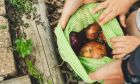 Βιωσιμότητα, zero waste και διατροφική δικαιοσύνη: Μια συζήτηση με την Γωγώ Δελογιάννη