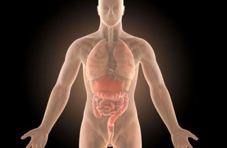 Παγκόσμια Ημέρα ΙΦΝΕ: Η σύγχρονη θεραπεία για τη νόσο Crohn και την ελκώδη κολίτιδα