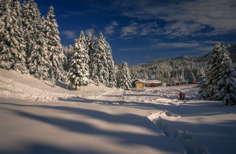 Νομός Τρικάλων: Ο απόλυτος χειμερινός προορισμός!
