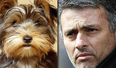 “Απελάθηκε” ο…σκύλος του Μουρίνιο