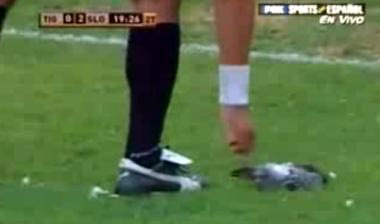 Μία… πάσα σκότωσε περιστέρι στην Αργεντινή (vid)