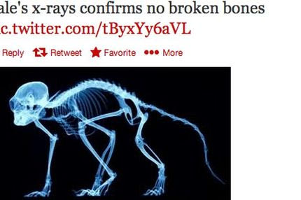 Ρατσιστική επίθεση στο twitter για τον Μπέιλ