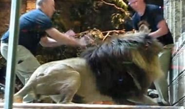 Έτοιμος ο Μπάρι! Ρούνεϊ: “Προτιμώ να αγωνίζομαι στην κορυφή”