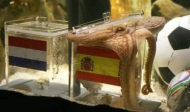 Στα “πλοκάμια” της Ισπανίας