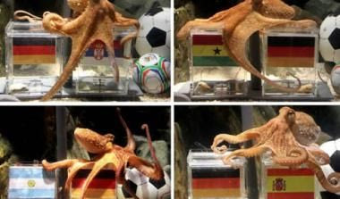 Μαραντόνα: “Χάρηκα που πέθανες, Πολ”