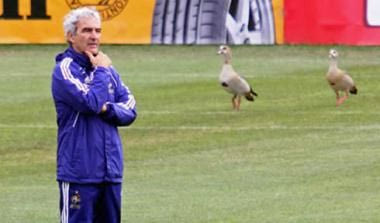 Ντομενέκ: “Γίναμε ο περίγελος του κόσμου”