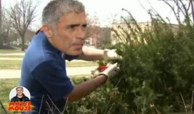“Με είδαν να κλαδεύω”