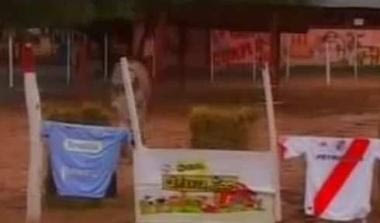 Ο Πολ το χταπόδι έγινε… Αντρέ ο γάιδαρος (video)