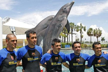 Ο Βαλντές “τρώει” γκολ από δελφίνι