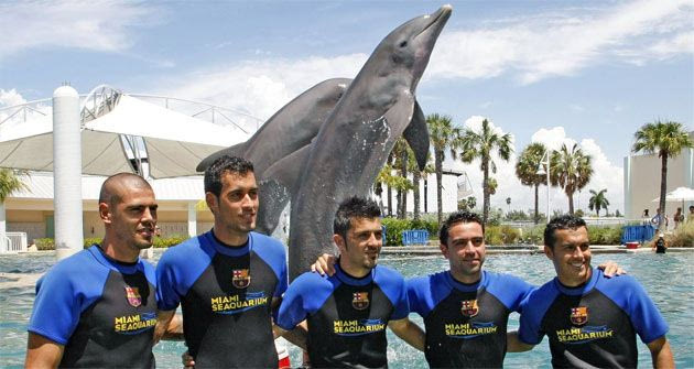 Ο Βαλντές “τρώει” γκολ από δελφίνι