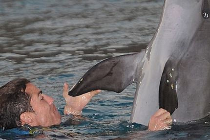 Ο… Ρονάλντο και το δελφίνι