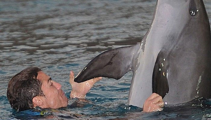 Ο… Ρονάλντο και το δελφίνι