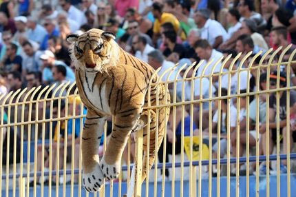 Ένας τίγρης στην εξέδρα της ΑΕΚ (photo)