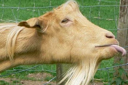 Να σου καεί το στέρεο!