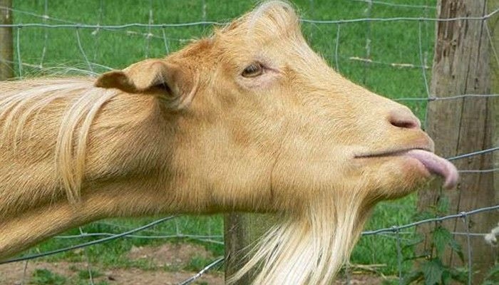 Να σου καεί το στέρεο!