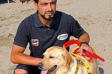 To λαμπραντόρ του Τότι σώζει ζωές