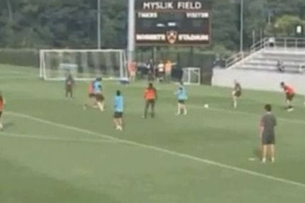 Τους πλάκωσε στο ξύλο ο Ιμπραΐμοβιτς