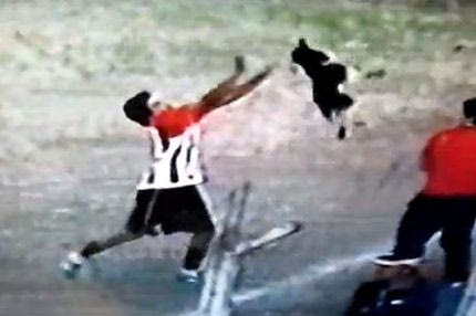 Βία σε σκύλο από ποδοσφαιριστή