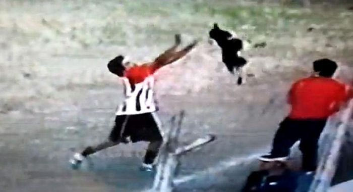 Βία σε σκύλο από ποδοσφαιριστή