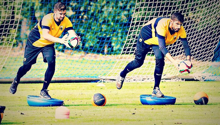 Aνέστης, Μπαρόχα, ένστικτο και εμπιστοσύνη