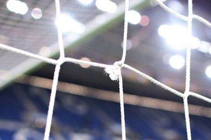 Σε δημοπρασία το τρύπιο δίχτυ της Χόφενχαϊμ