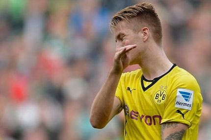 Νοκ άουτ οι Ρόις, Μπέντερ, Χόφμαν