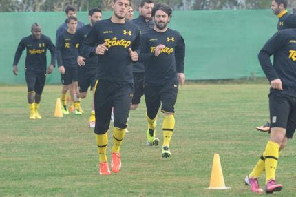 “Ποντικοί” στο Νέο Ρύσιο