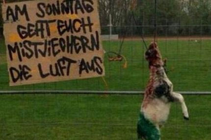 Βαρβαρότητα από οπαδούς της Μπράουνσβαϊγκ (photo)