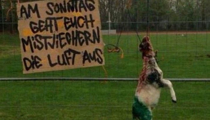 Βαρβαρότητα από οπαδούς της Μπράουνσβαϊγκ (photo)