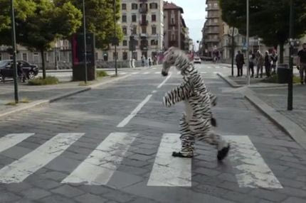 Πανηγύρισαν το πρωτάθλημα ντυμένοι… ζέβρες στη Γιουβέντους