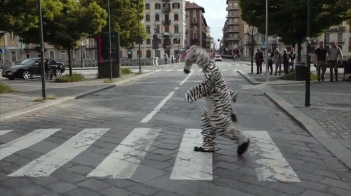 Πανηγύρισαν το πρωτάθλημα ντυμένοι… ζέβρες στη Γιουβέντους