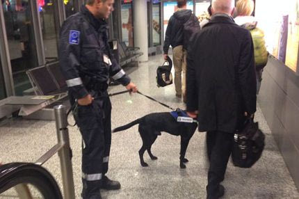 Ελσίνκι: Το κρύο, ο σκύλος και το 1,80 για νερό! (PHOTOS)