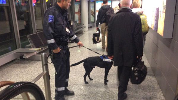 Ελσίνκι: Το κρύο, ο σκύλος και το 1,80 για νερό! (PHOTOS)